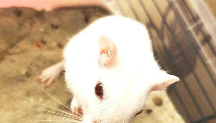 Pets At Home Bishopbriggs -  Comments - Glasgow