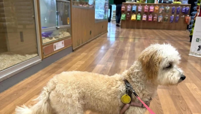 Pets At Home Bishopbriggs -  Pet Store - Glasgow