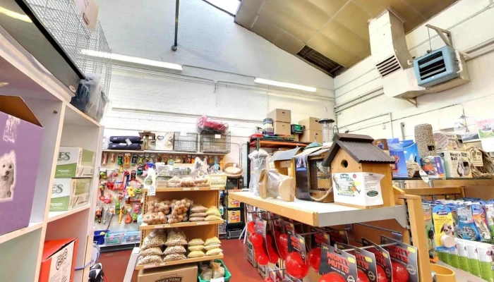 Pets Direct Alloa -  All - Alloa