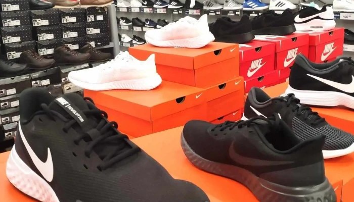 Sports Direct -  Shoe - Hamilton