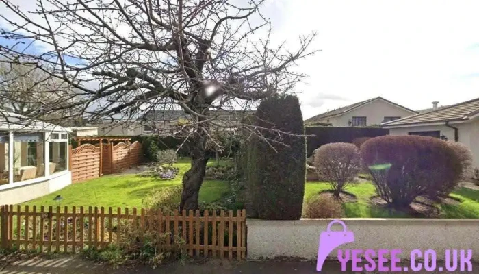 Stitches - Forres Iv36 1Fd