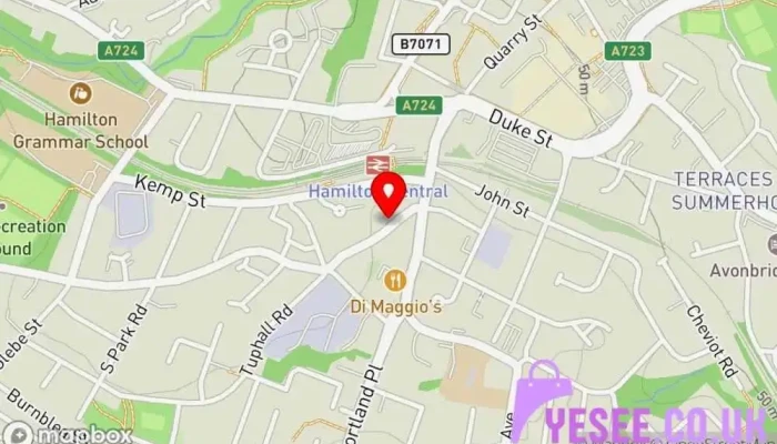 Stork In The City -  Map - Hamilton