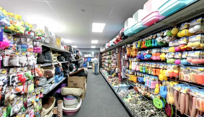 The Spotty Bag Shop -  Street View 360deg - Banff