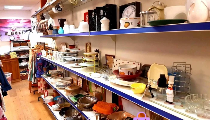 Thrifty One -  All - Blairgowrie