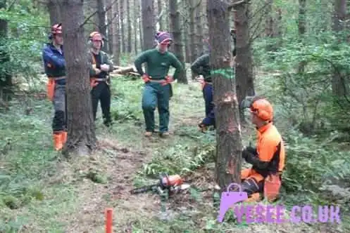 Treevolution Scotland - Broxburn